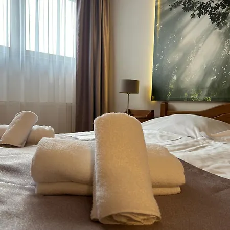 Vesta Centrum Konferencyjno Wypoczynkowe 3*