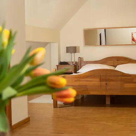 Vesta Centrum Konferencyjno Wypoczynkowe Aparthotel Jeleśnia
