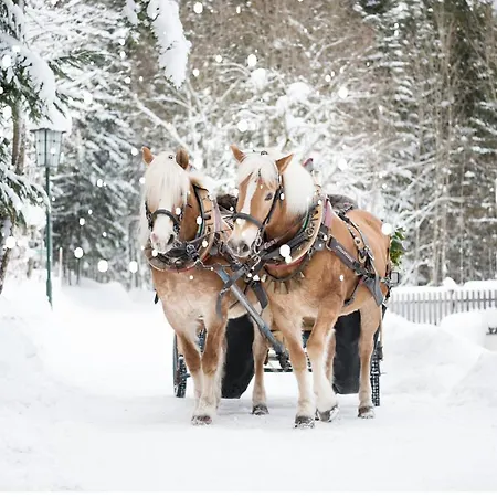 Vesta Centrum Konferencyjno Wypoczynkowe 3* Jeleśnia
