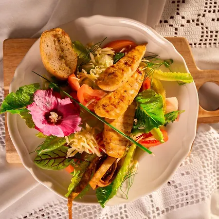 Vesta Centrum Konferencyjno Wypoczynkowe 3*