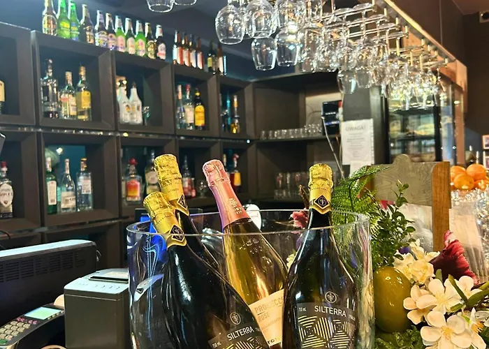 Vesta Centrum Konferencyjno Wypoczynkowe Apart-hotel Jeleśnia