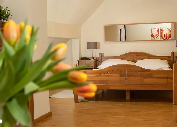 Vesta Centrum Konferencyjno Wypoczynkowe Aparthotel Jelesnia