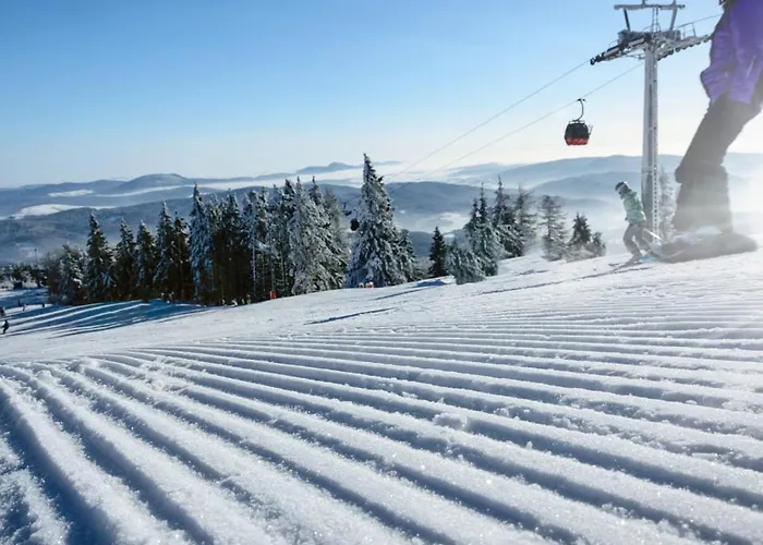 Vesta Centrum Konferencyjno Wypoczynkowe 3*