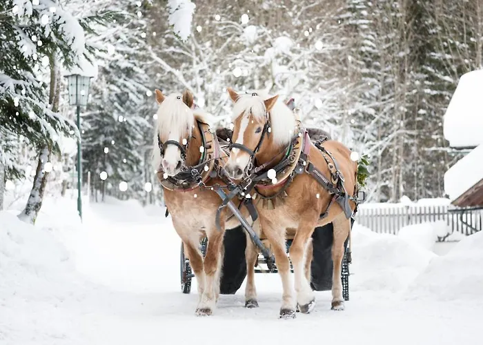 Vesta Centrum Konferencyjno Wypoczynkowe 3* Jelesnia